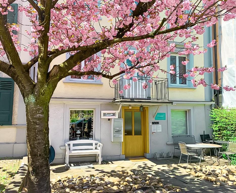 Citylodge St Gallen - 2 Min To Marktplatz Санкт-Галлен Екстер'єр фото